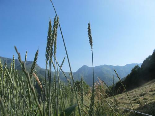 Agroturismo Meiro Di Choco