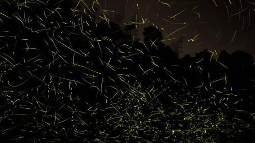 Hostal Guest House Seiryukyo