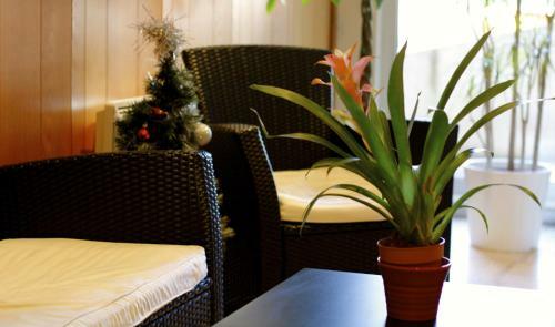 Aparthotel Appart'hotel Les Palatines
