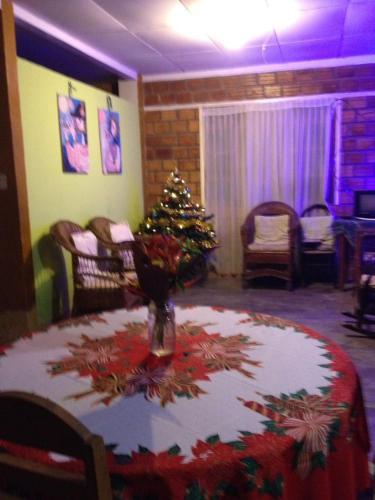 Bed & Breakfast Amazonia Guest House