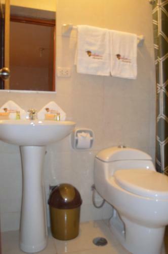 Bed & Breakfast Andino Hotel