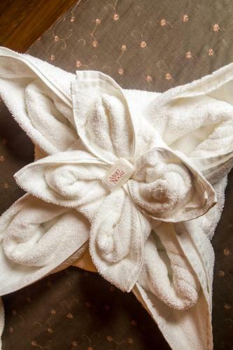 Lodge El Viejo Nogal