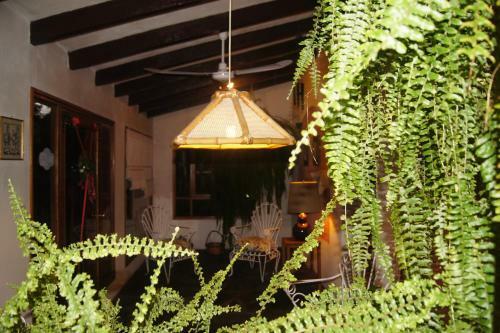 Posada Lorelei