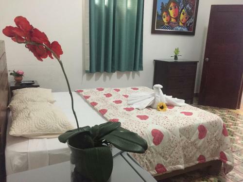 Hostal Hotel Boutique Oasis Colonial