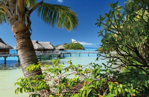 Hotel Sofitel Bora Bora Private Island