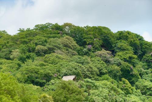 Hacienda & Ecolodge Morgan's Rock