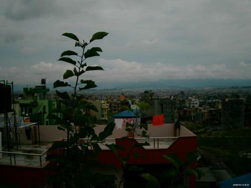 Everest Home Stay Apartment