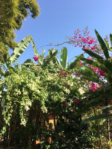 Hotel Hidden Paradise Guest House