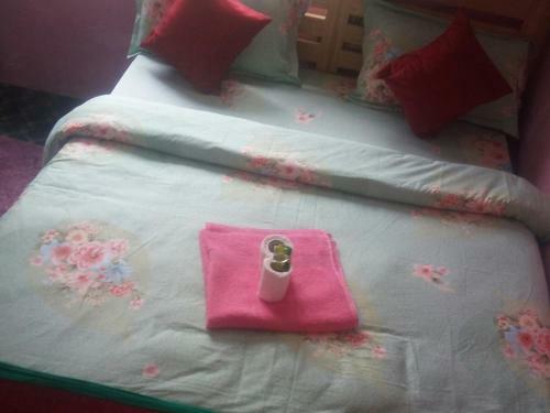 Hostal Galaxy Inn Guest House