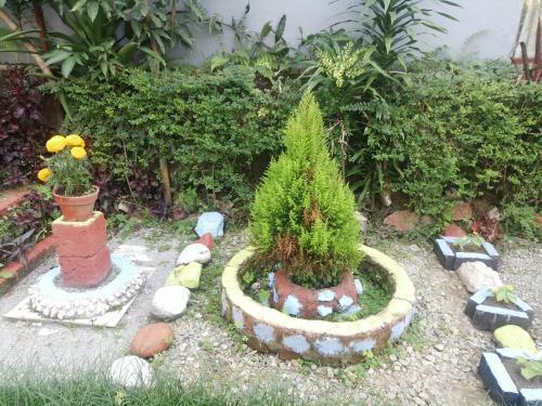 Hostal Galaxy Inn Guest House