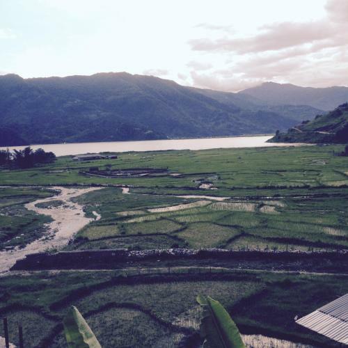 Bed & Breakfast Bishnu Homestay