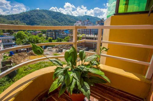 Oyo 173 Hotel Dream Inn