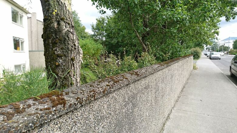 Hostal Alba Guesthouse