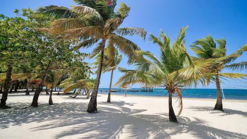 Coconut Grove