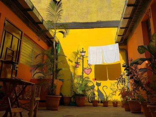 Albergue Hostal Easy Stay