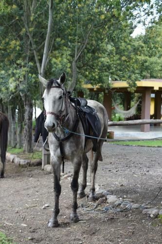 Hostal Casa De Campo