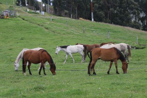 Lodge Hosteria Loma Larga Cayambe