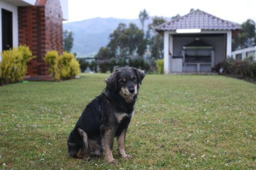 Lodge Hosteria Loma Larga Cayambe