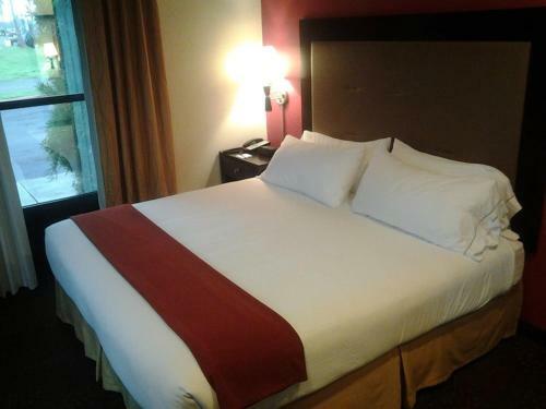 Hotel Holiday Inn Express Harlingen