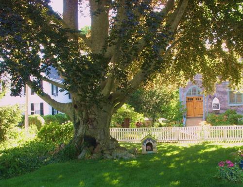 Bed & Breakfast The 1720 House