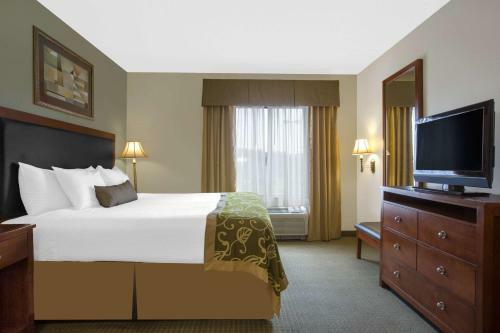 Hotel Wingate By Wyndham Tuscaloosa