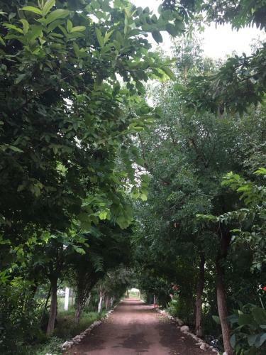 Agroturismo Amourcasa Homestay