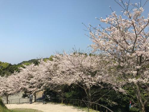 Minshuku Tairyoumaru
