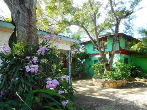Hotel Banana Shout Resort