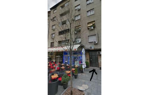 City Center Apartment