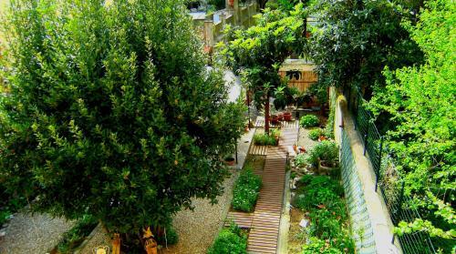 Bed & Breakfast Orti Di Cimabue
