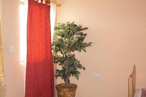 Posada Hostal Intipara