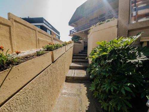 Apartamento Departamento Borgo�o