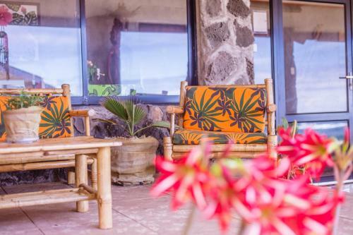 Lodge Hostal Y Caba�as Tojika