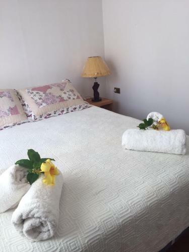 Lodge Caba�as Y Hotel Te�ao