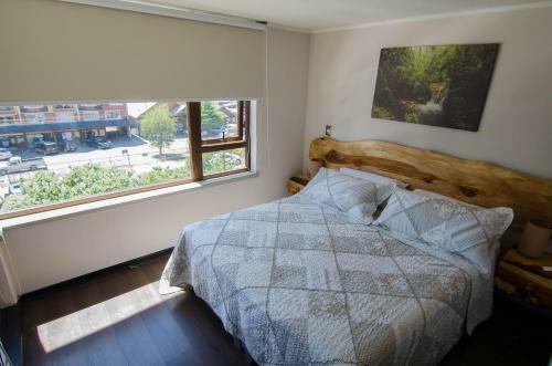 Apartamento Departamento Centro Pucon