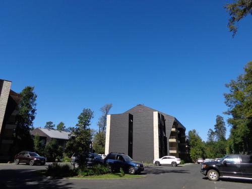 Apartamento Parque Payllahue Pucon