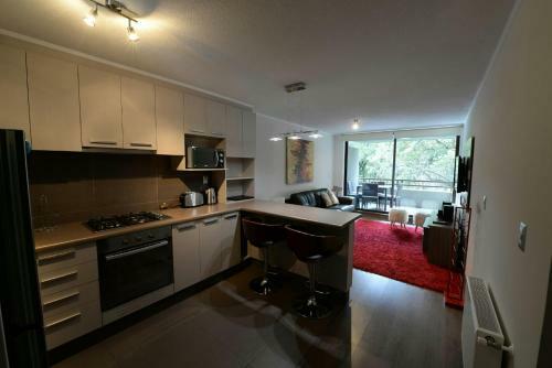 Apartamento Departamento Condominio Costa Puc�n