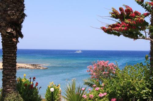 Crystal Springs Beach Hotel