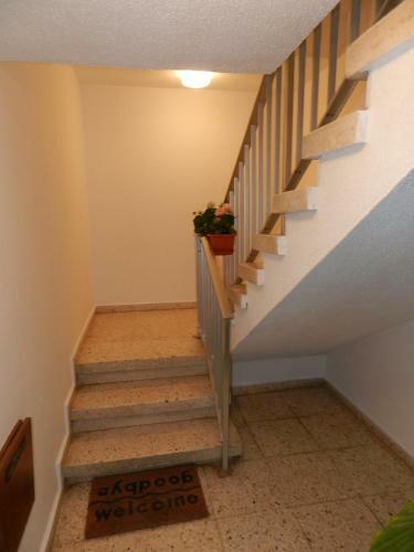 Elenapa Holiday Apartments