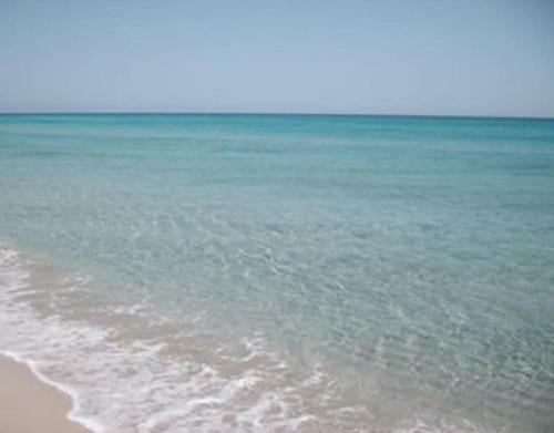 The Dunes Resort & Spa
