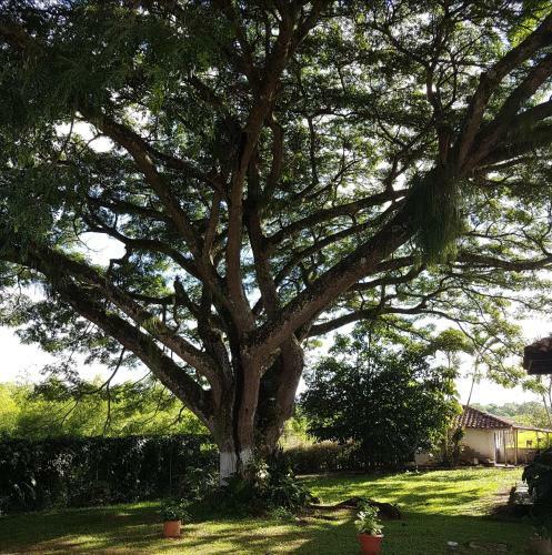 Finca San Rafael En Tebaida Quindio