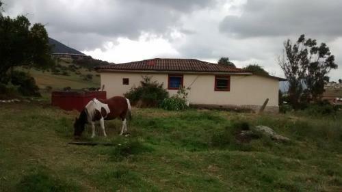 Caba�a En La Calera