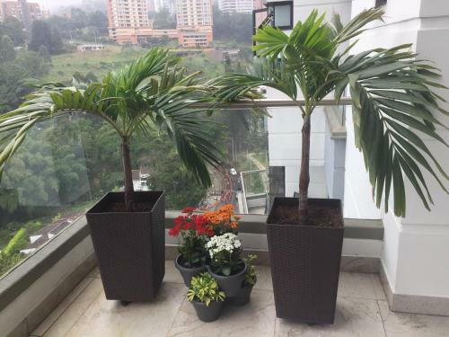 Apartamento Cielo Campestre