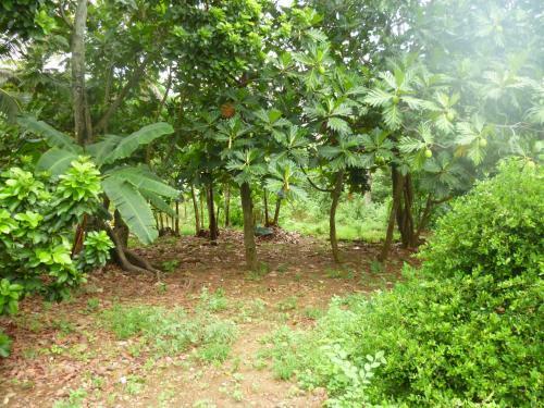 Apartamento Casira