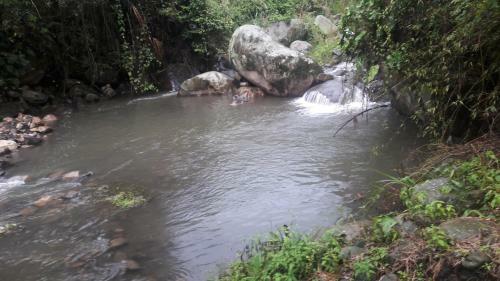 Hotel Caba�as Villa Sarita