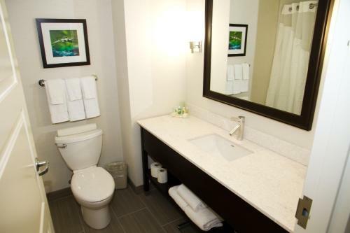 Holiday Inn Hotel & Suites Red Deer