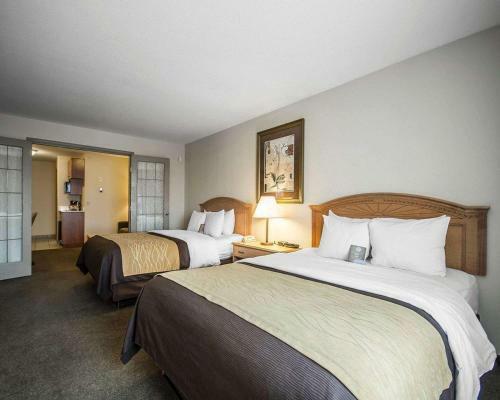Hotel Comfort Inn & Suites Salmon Arm