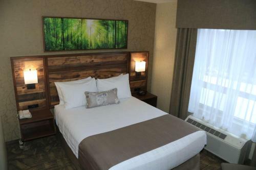 Hotel Best Western Plus Valemount Inn & Suites