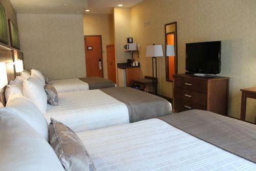 Hotel Best Western Plus Valemount Inn & Suites