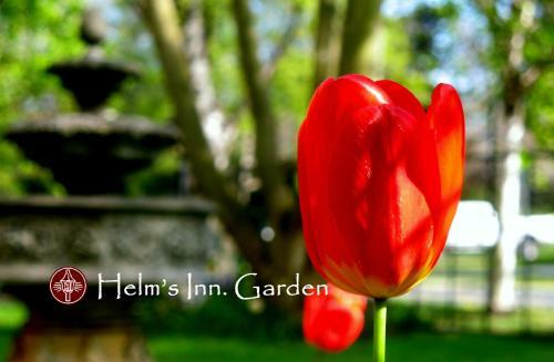 Hotel Helm's Inn